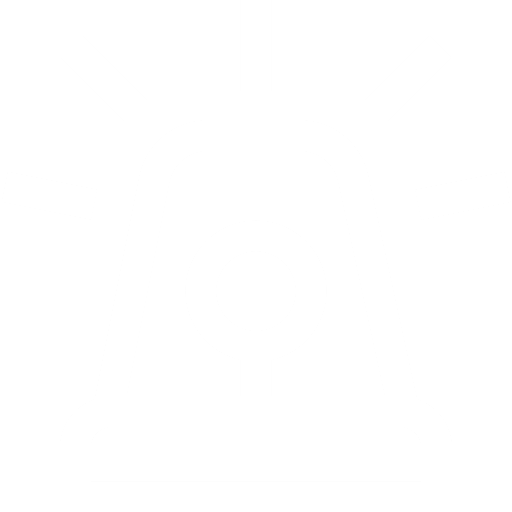 emergency icon
